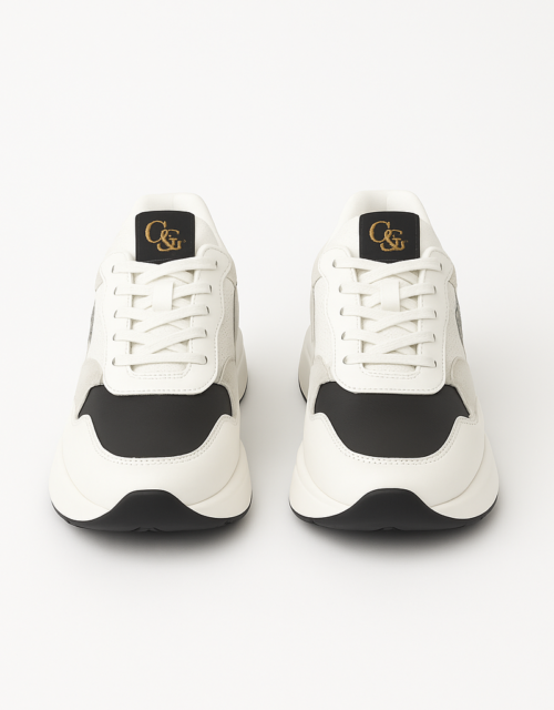 Black and White Shoe